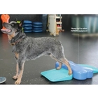 Dog training massage foot relaxation PVC massage board