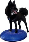 Manufacturer direct selling PVC dog flat slope training massage board