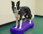 Factory wholesales bone Dog Training Regular Balancing Bone