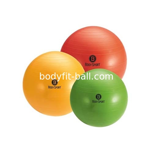 Women Yoga Exercise Balls Balance Training Ball Pilates Fitness Anti Burst PVC
