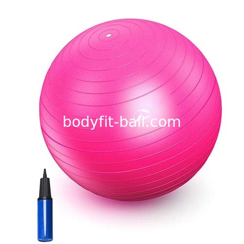 Explosion Proof Gym Yoga Balance Ball Large Fitness Body Tone Workout Exercise Ball